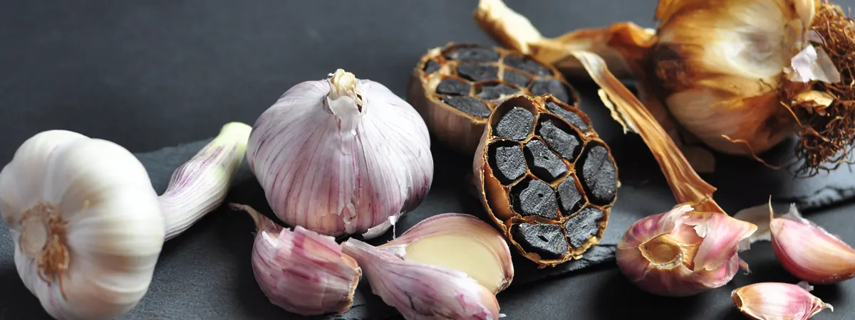 تفاوت سیر سیاه با سیر سفید